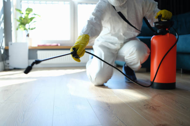 Best Mosquito Control Services  in Lyndon, KS
