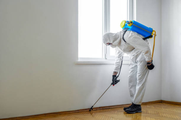 Best Pest Inspection Near Me  in Lyndon, KS