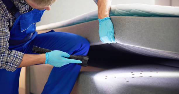 Best Affordable Pest Control Services  in Lyndon, KS