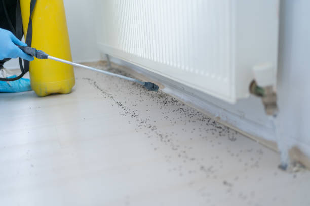 Trusted Lyndon, KS Pest Control Experts