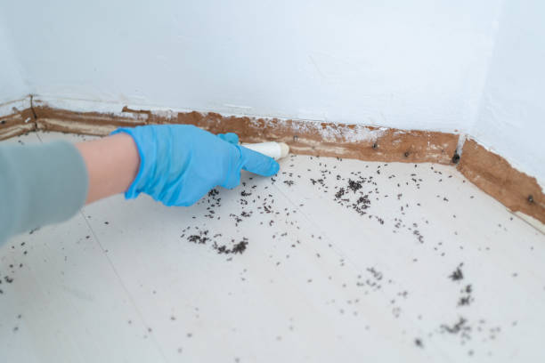 Best Pest Control for Businesses  in Lyndon, KS