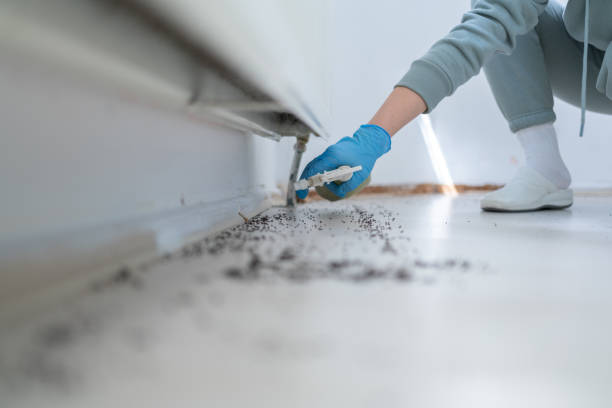 Best Pest Removal Services  in Lyndon, KS