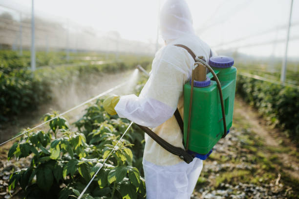 Best Affordable Exterminators  in Lyndon, KS